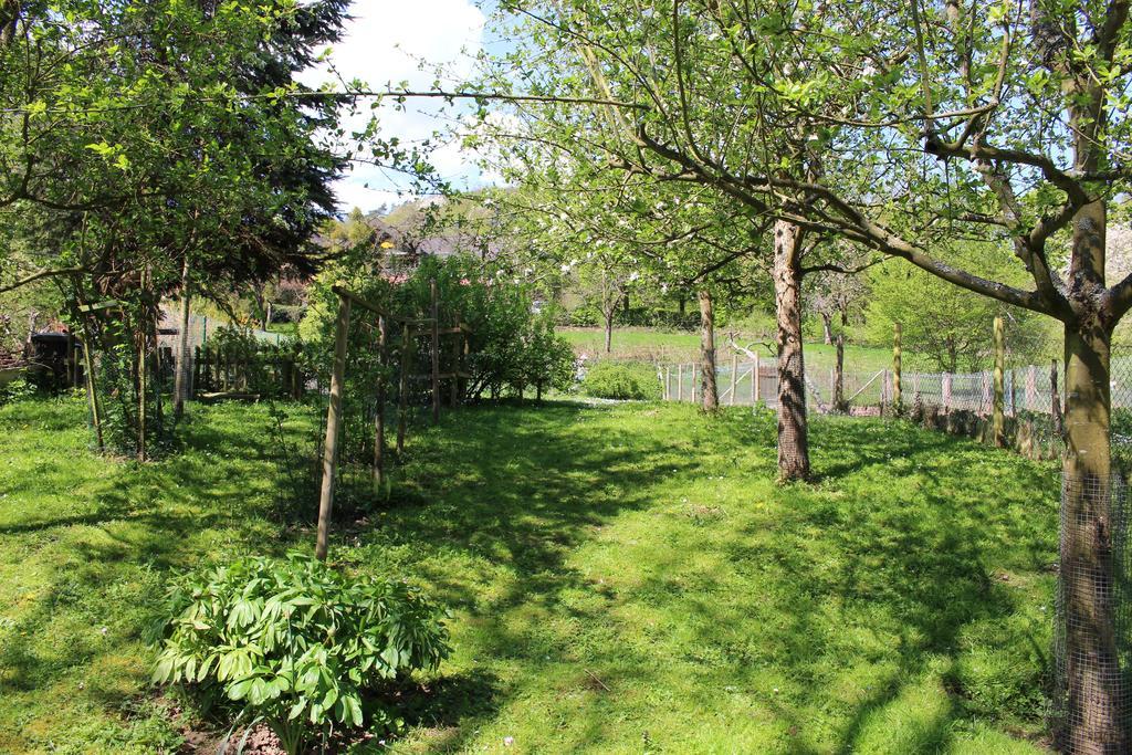 Ferienwohnung Burgsicht Heimbach Esterno foto